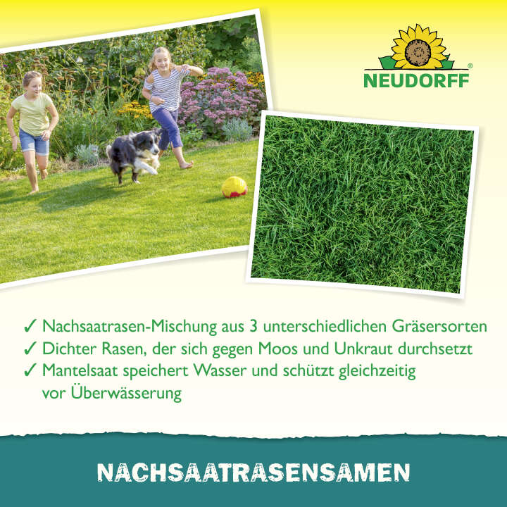 NEUDORFF Nachsaat RasenSamen